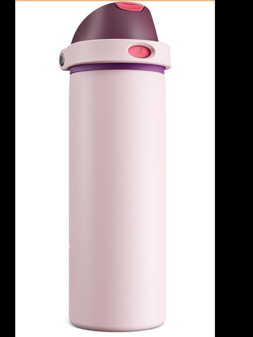 Pink & Plum 24 oz Stainless Water Bottle